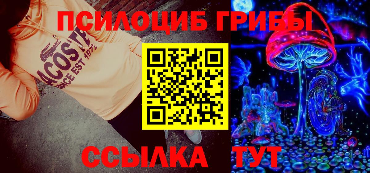 Галлюциногенные грибы Cubensis  продажа наркотиков  Югорск  Вход с VPN  Псилоцибиновые грибы прущие грибы 