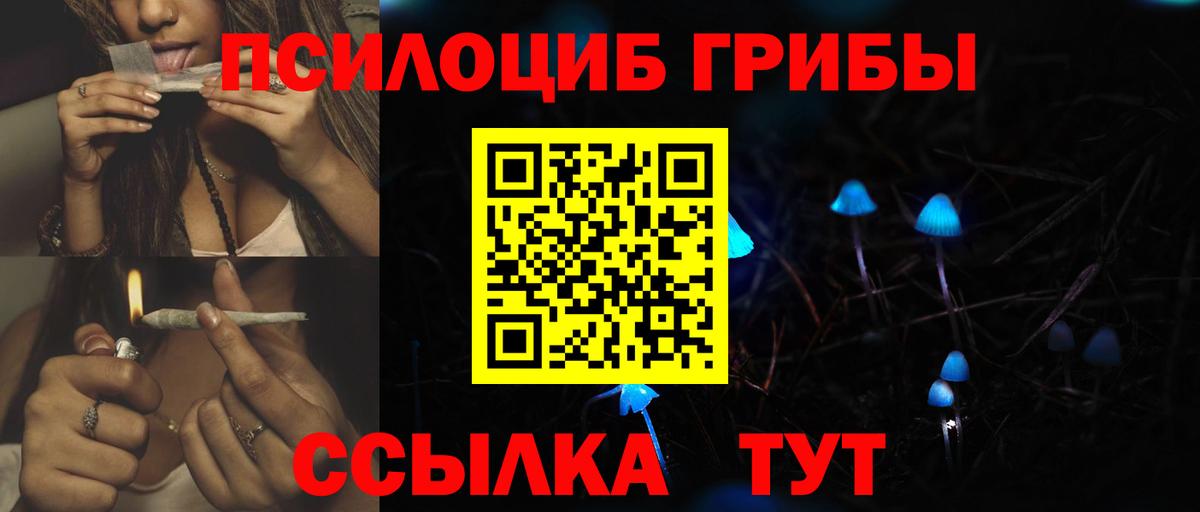 Псилоцибиновые грибы Cubensis Югорск